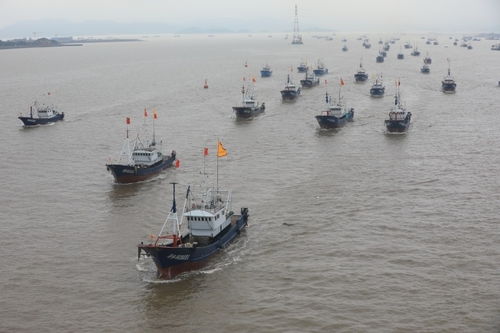 普陀 海上糾紛結案率100%的秘訣——以航空國際貨運代理為紐帶，構建多元高效解紛新格局